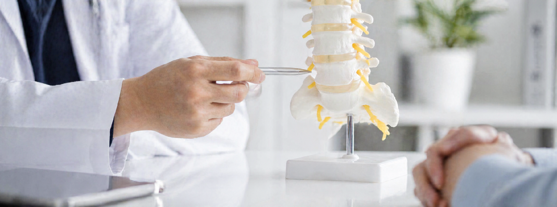We are a Unique
Chiropractic and 
Wellness Clinic